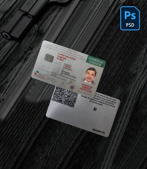 Mexico driving license 2019-present PSD